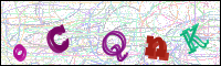 Image Verification