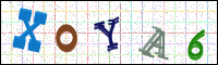 Image Verification