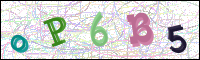 Image Verification