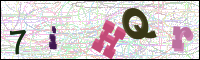 Image Verification