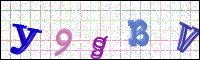 Image Verification