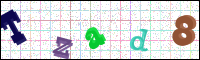 Image Verification