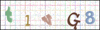 Image Verification