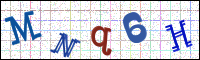 Image Verification