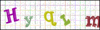 Image Verification