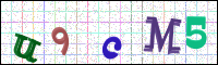 Image Verification