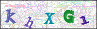 Image Verification