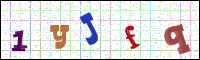Image Verification
