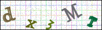 Image Verification