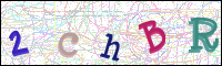 Image Verification