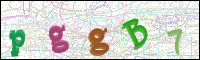 Image Verification