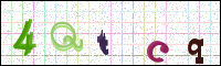 Image Verification