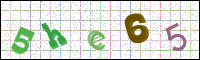 Image Verification