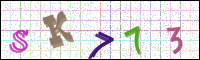 Image Verification