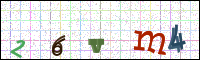 Image Verification