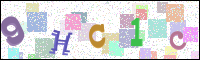 Image Verification