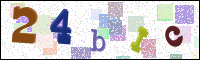 Image Verification