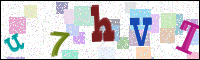Image Verification