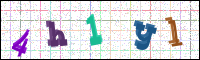 Image Verification