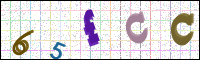 Image Verification
