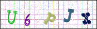 Image Verification