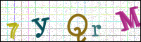 Image Verification