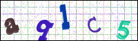 Image Verification