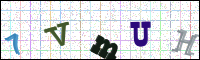 Image Verification