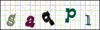 Image Verification