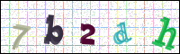 Image Verification