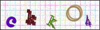 Image Verification