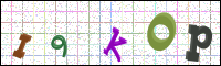 Image Verification