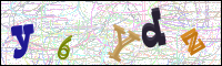 Image Verification