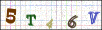Image Verification