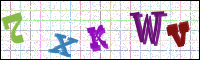 Image Verification