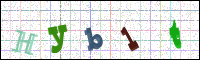 Image Verification