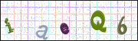 Image Verification