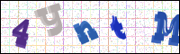 Image Verification