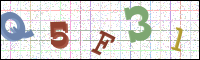 Image Verification