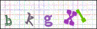 Image Verification