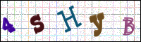 Image Verification