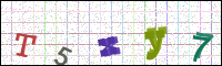 Image Verification