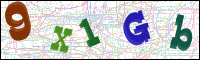 Image Verification