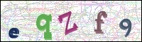 Image Verification
