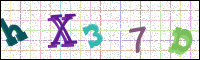 Image Verification