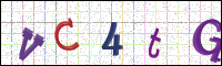 Image Verification