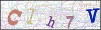 Image Verification