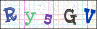Image Verification