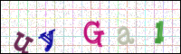 Image Verification
