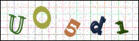 Image Verification
